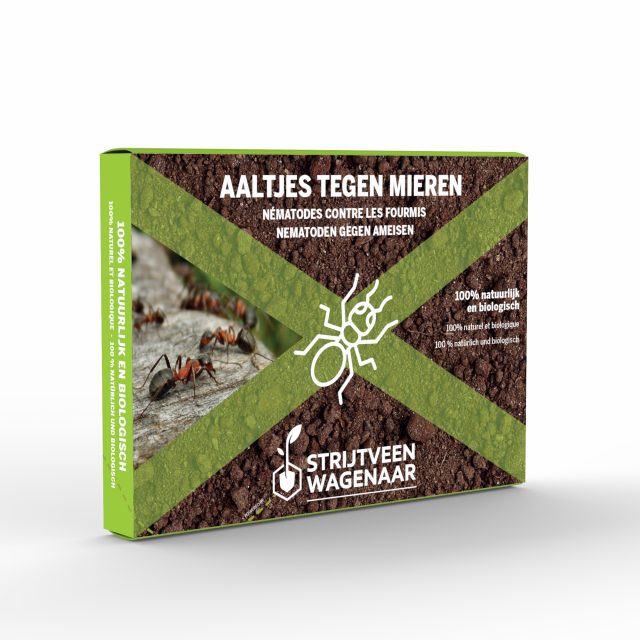 Nematodes against ants