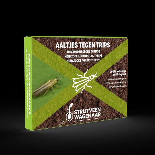 Nematodes against thrips + yellow sticky traps